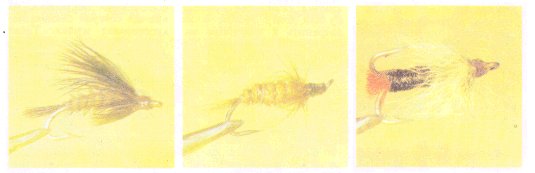 «Мушки», имитирующие личинку веснянки - Спортивное рыболовство