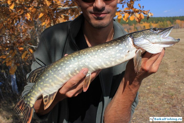 Отчет о рыбалке на Иркуте в районе Тункинской Долины (22-23.09.2011)