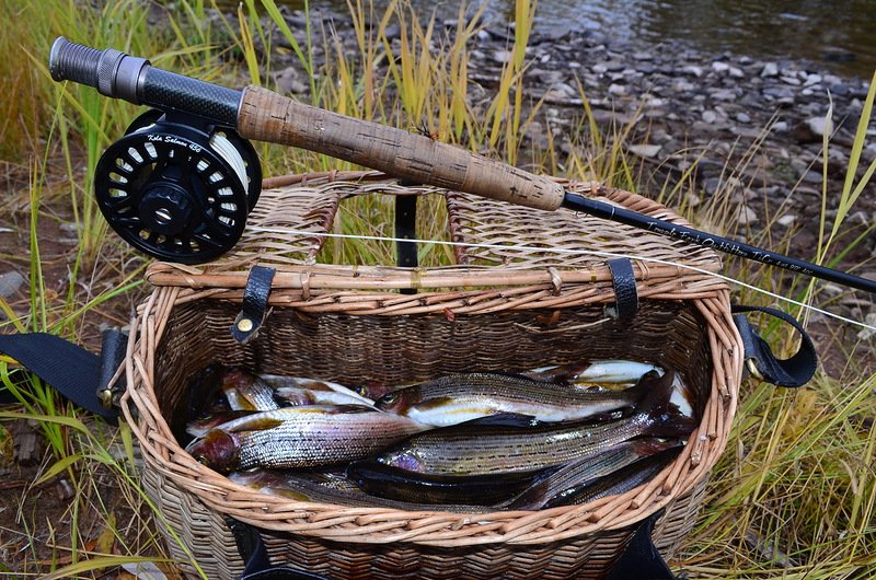 Осенняя рыбалка на таёжных реках Казачинско-Ленского района